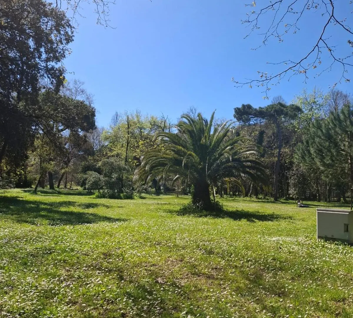 A Due Passi Dal Mare Lovely Apartment Viareggio İtalya